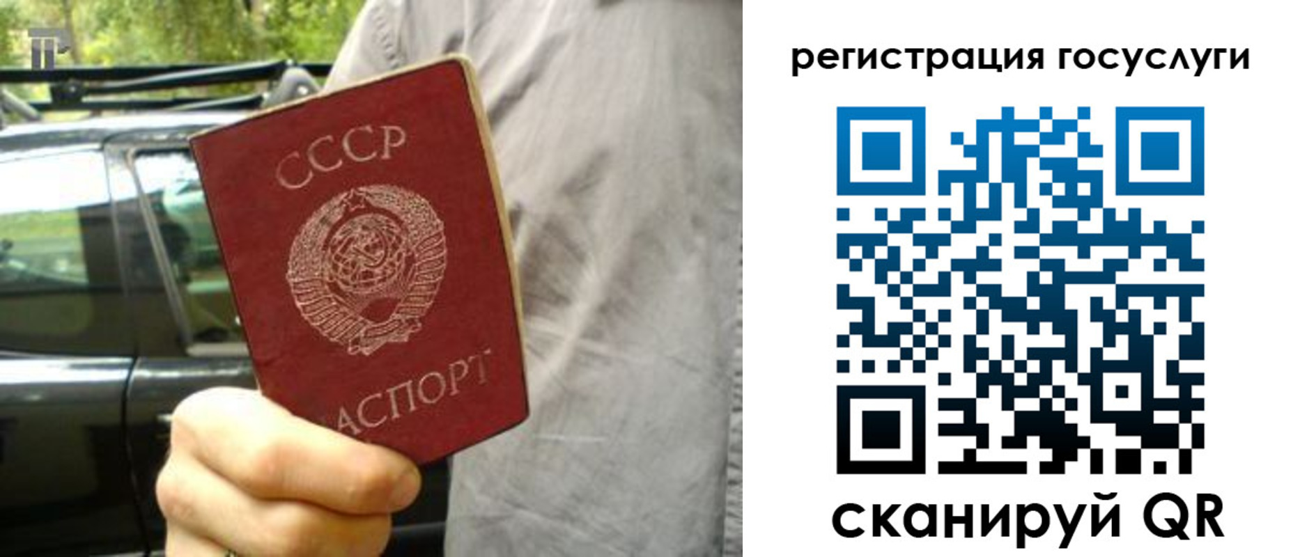 прописка законно в Ростовской области